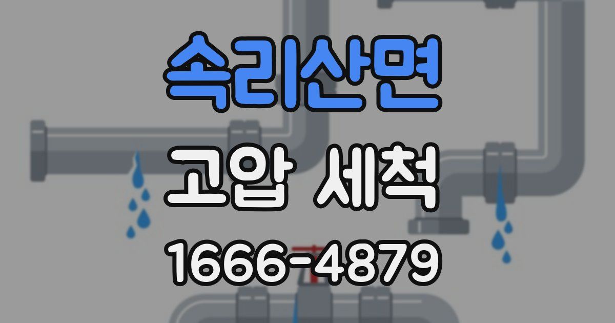 속리산면 고압 세척