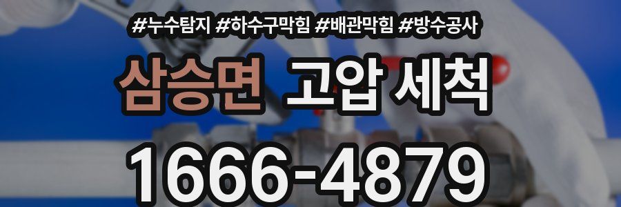 삼승면 고압 세척