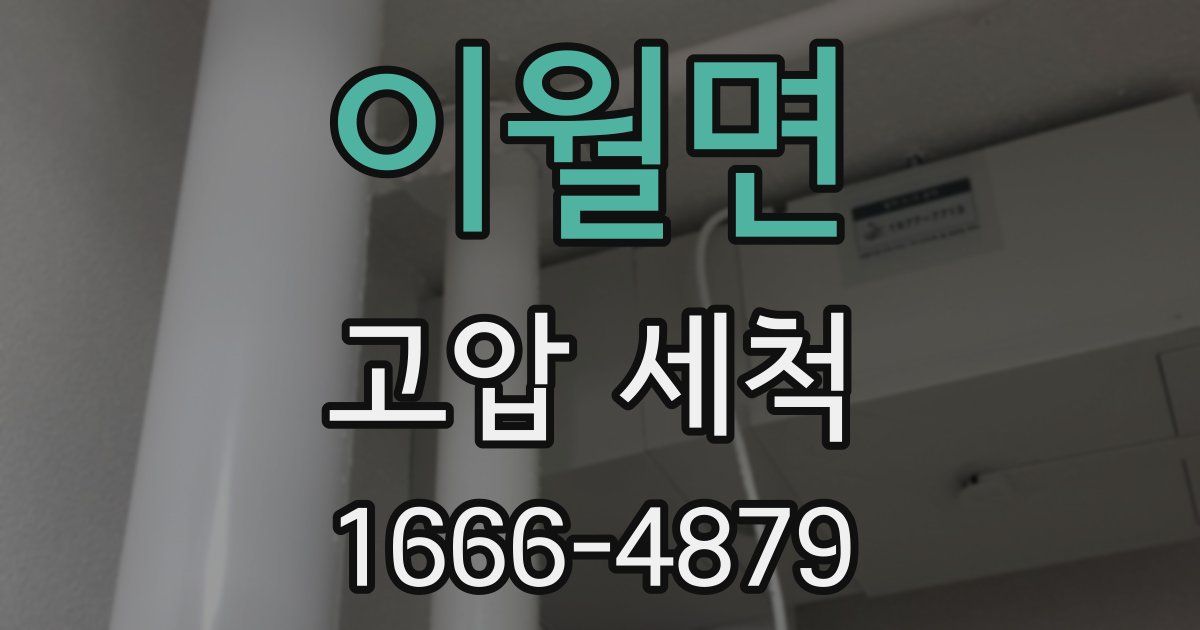 이월면 고압 세척