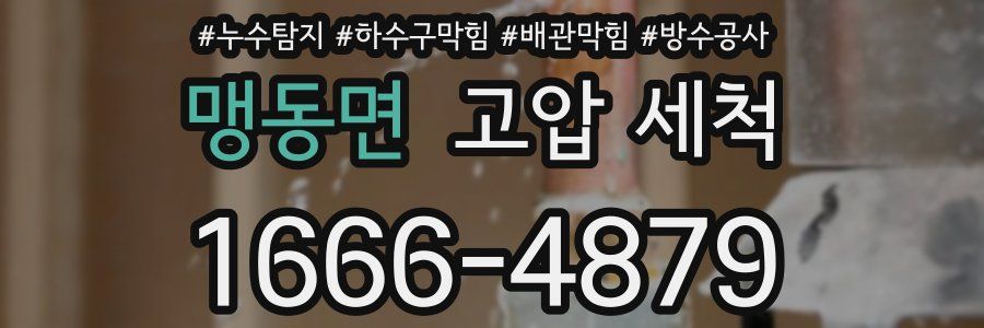 맹동면 고압 세척
