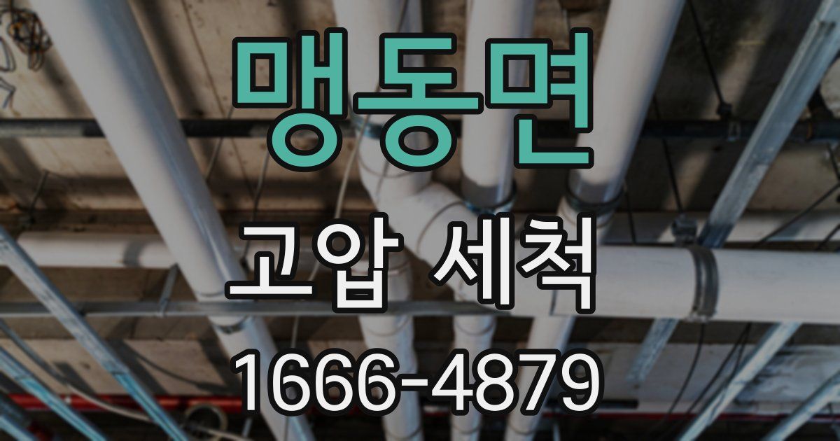 맹동면 고압 세척