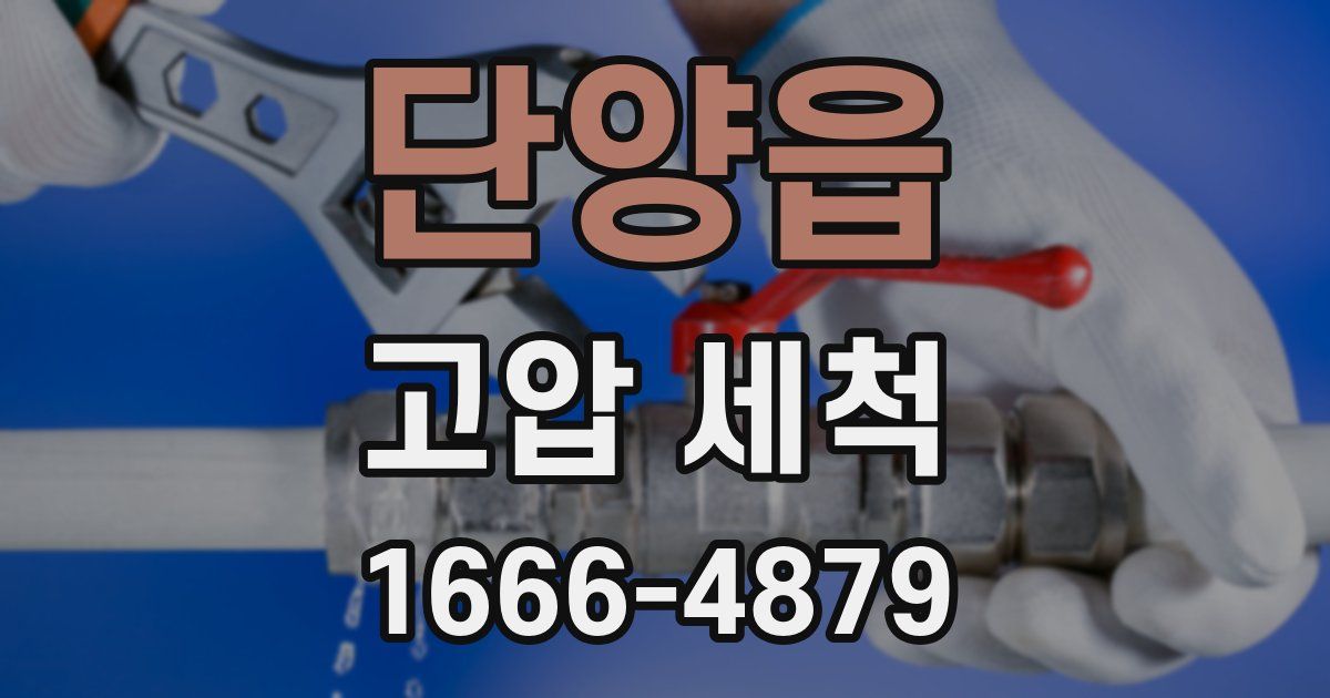 단양읍 고압 세척