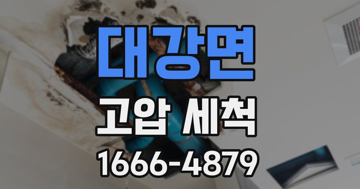 대강면 고압 세척