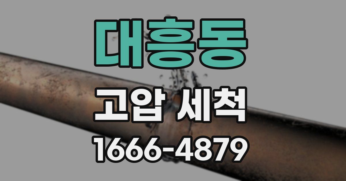 대흥동 고압 세척
