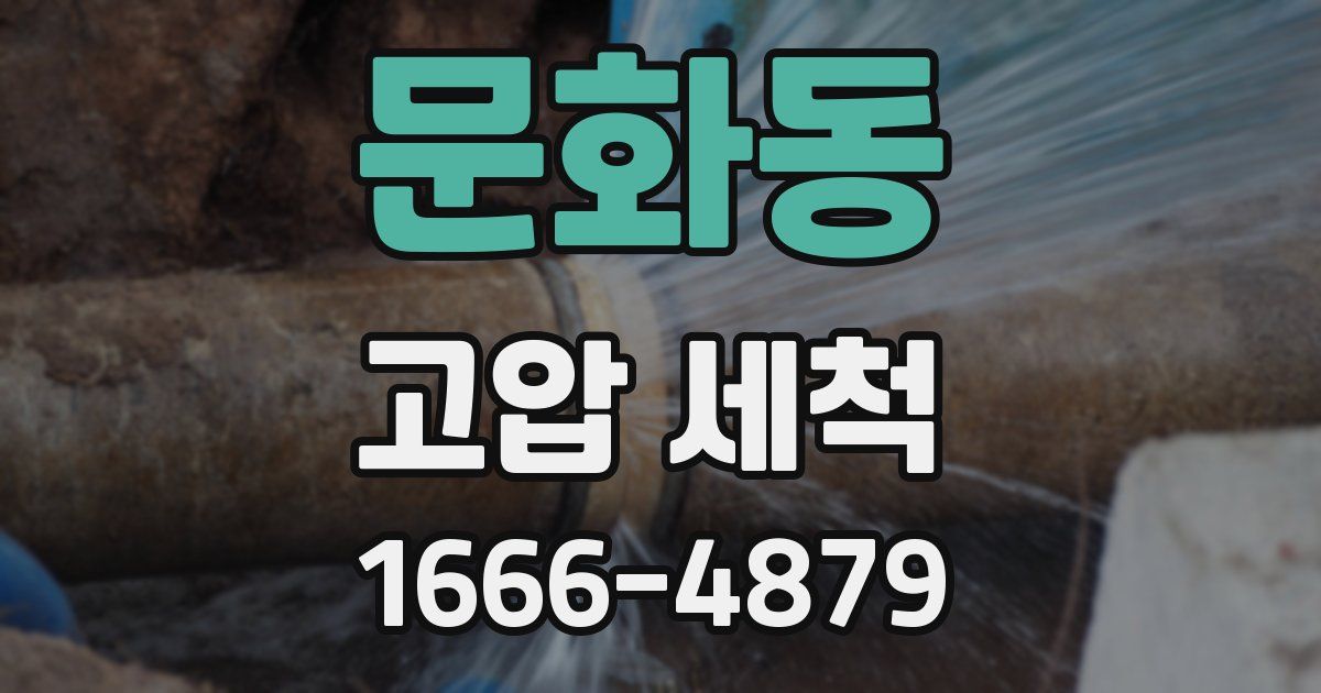 문화동 고압 세척