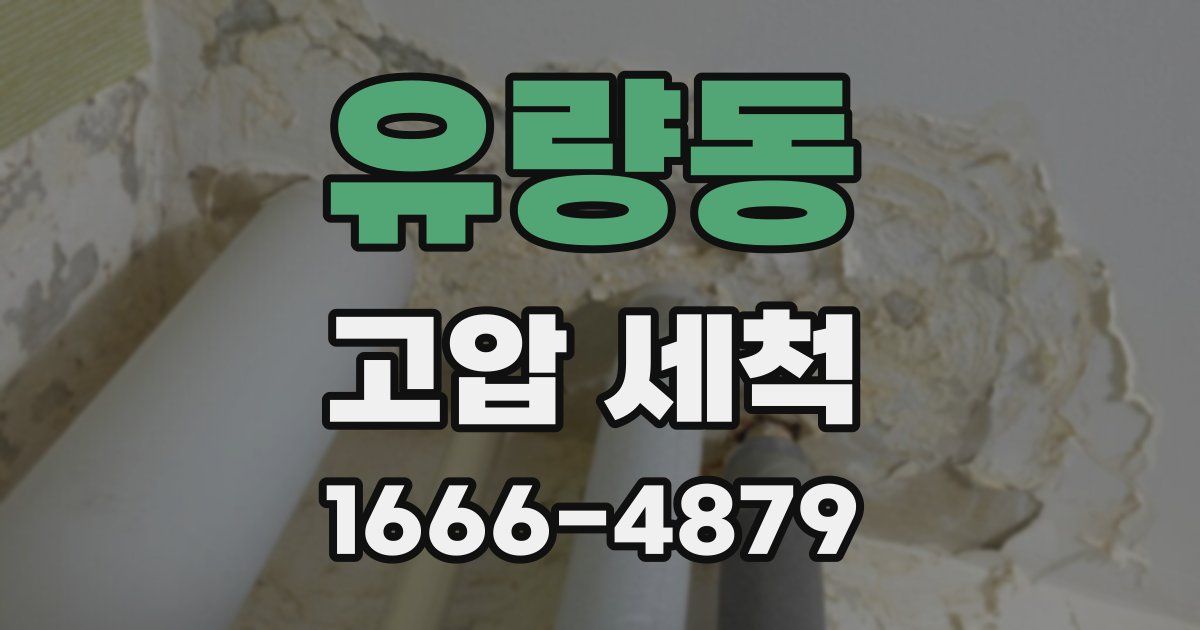 유량동 고압 세척