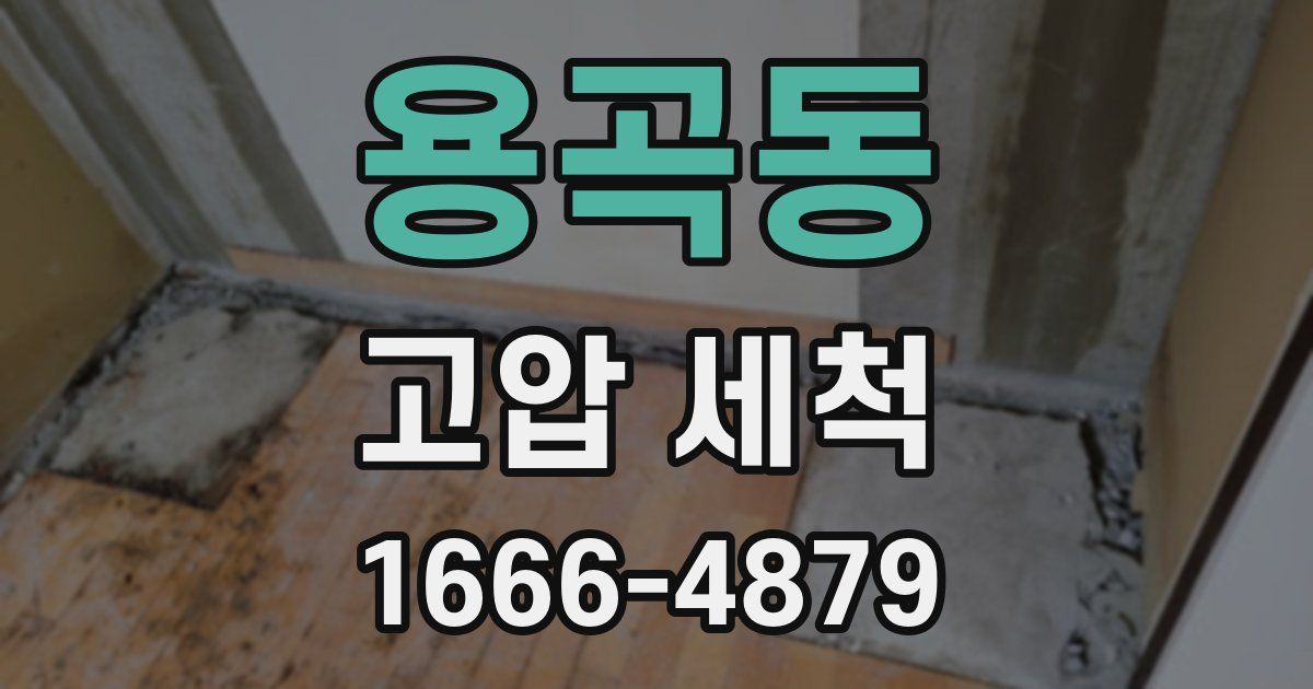 용곡동 고압 세척
