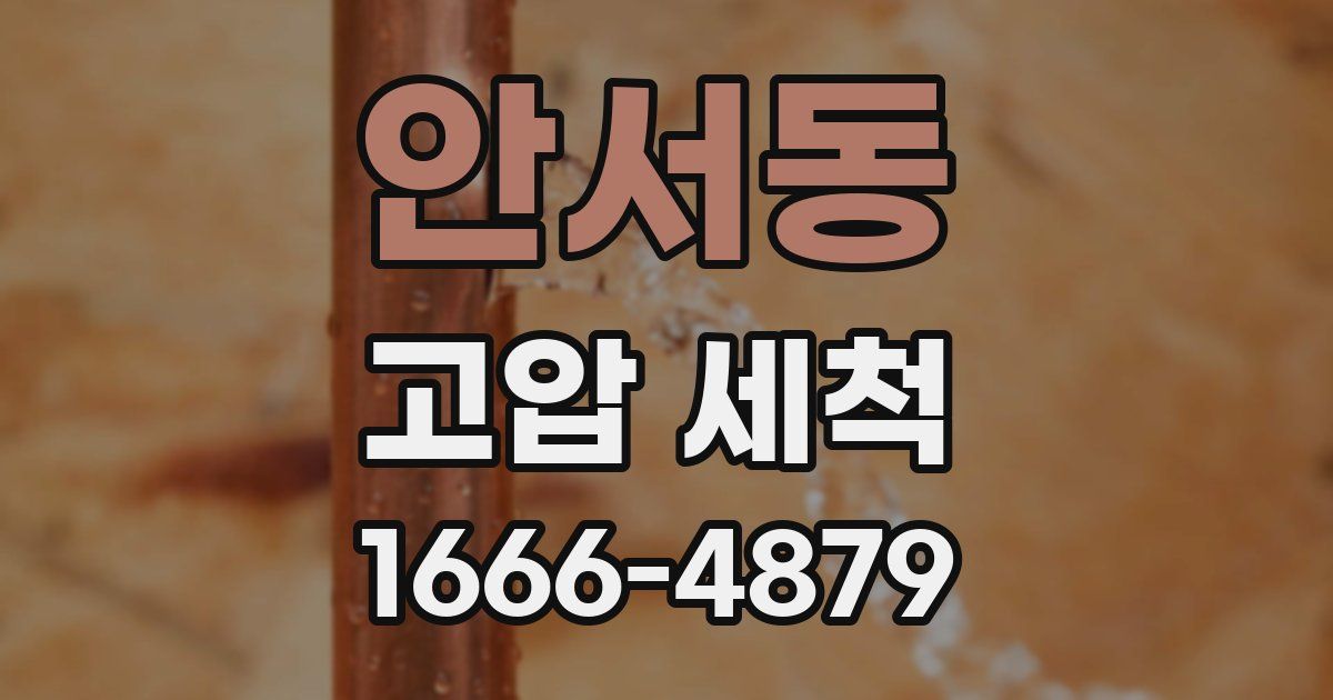안서동 고압 세척