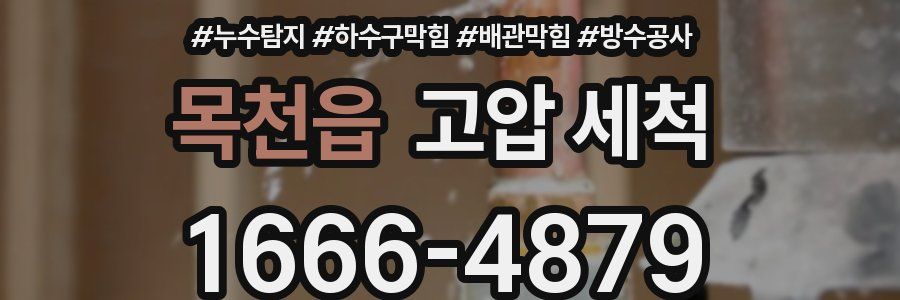 목천읍 고압 세척