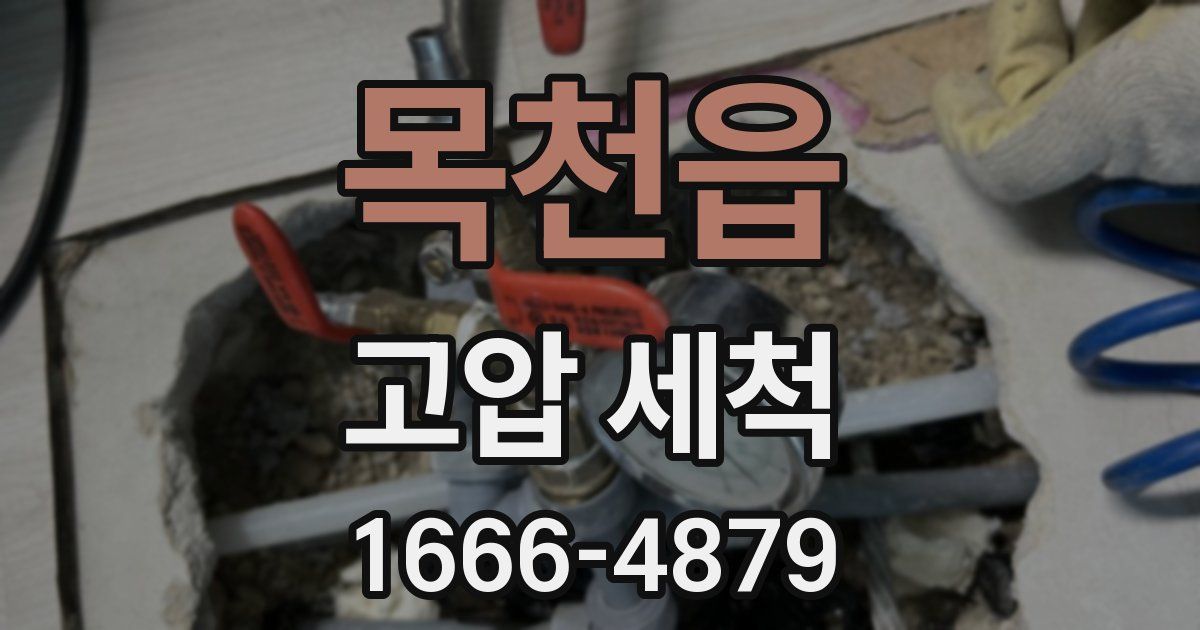 목천읍 고압 세척
