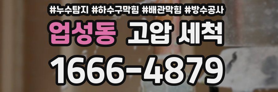 업성동 고압 세척
