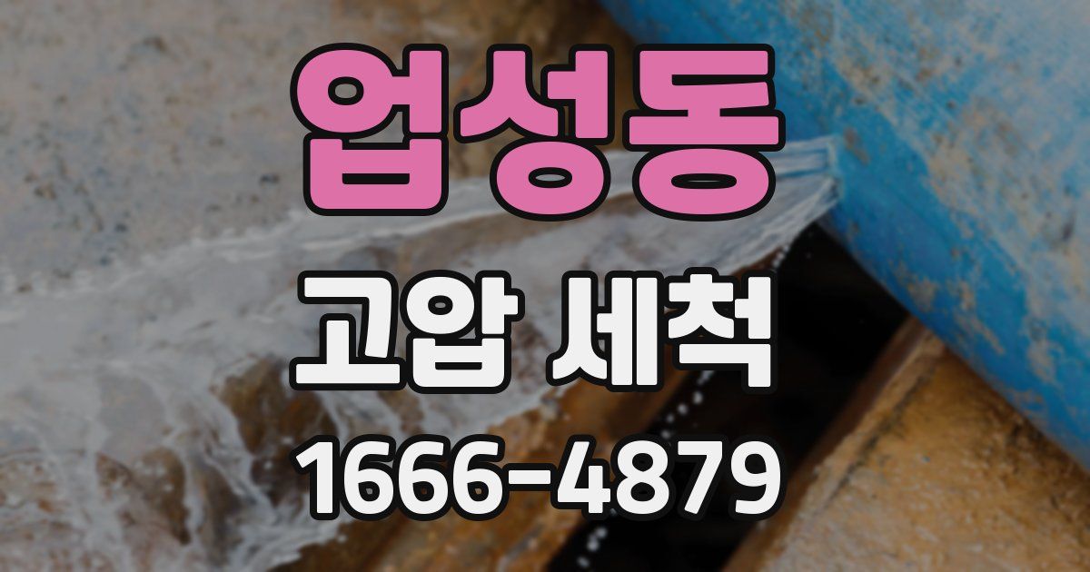 업성동 고압 세척