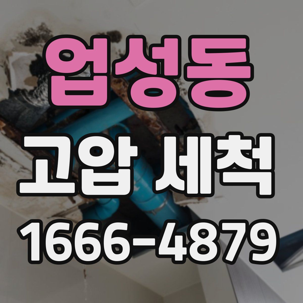 업성동 고압 세척