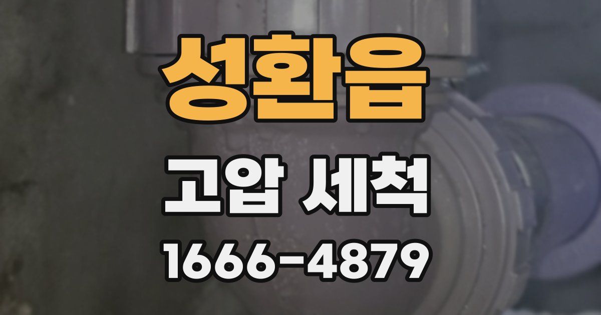 성환읍 고압 세척
