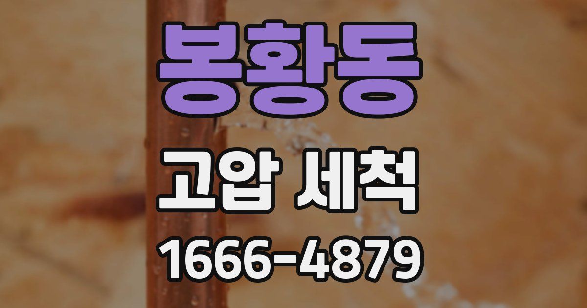 봉황동 고압 세척
