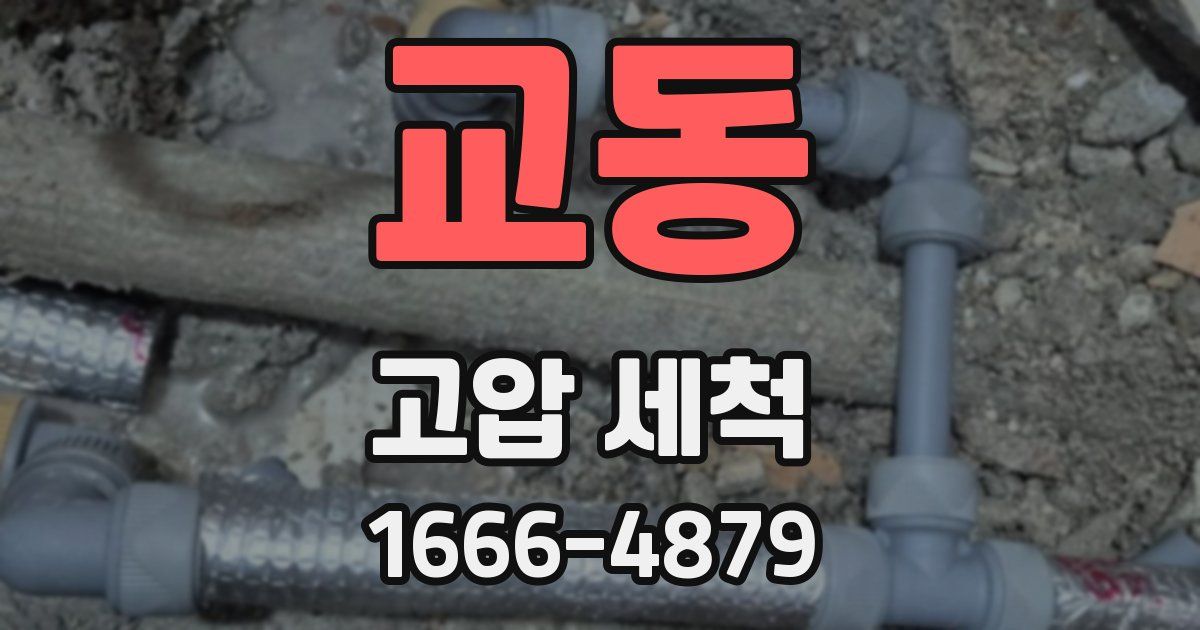 교동 고압 세척