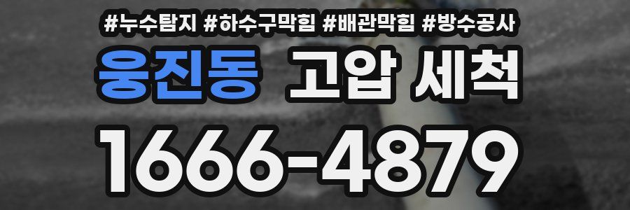웅진동 고압 세척