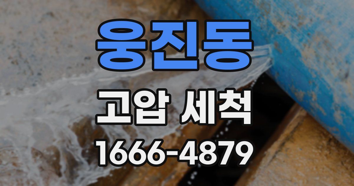 웅진동 고압 세척