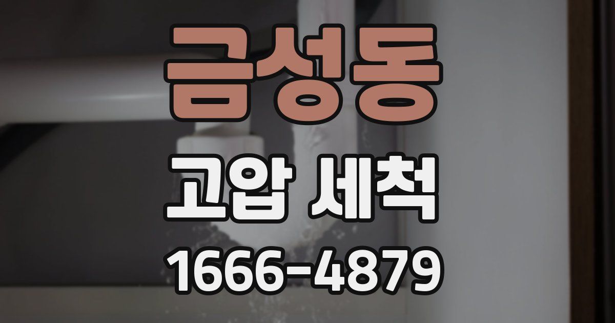 금성동 고압 세척