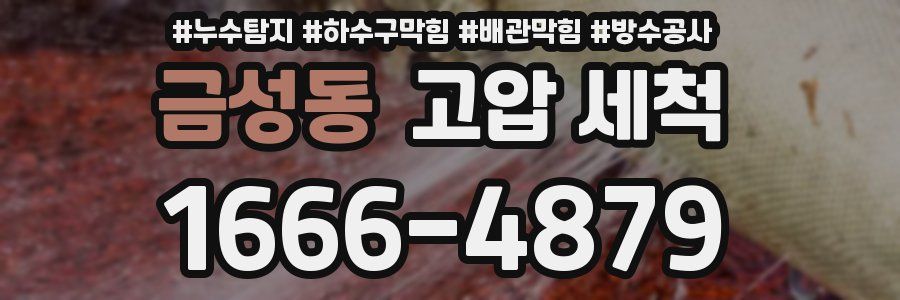 금성동 고압 세척