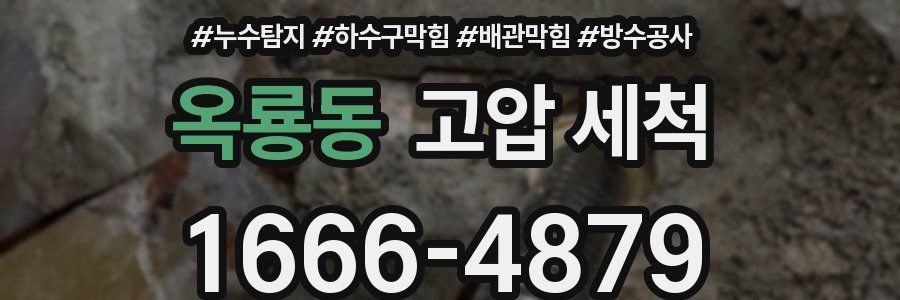 옥룡동 고압 세척
