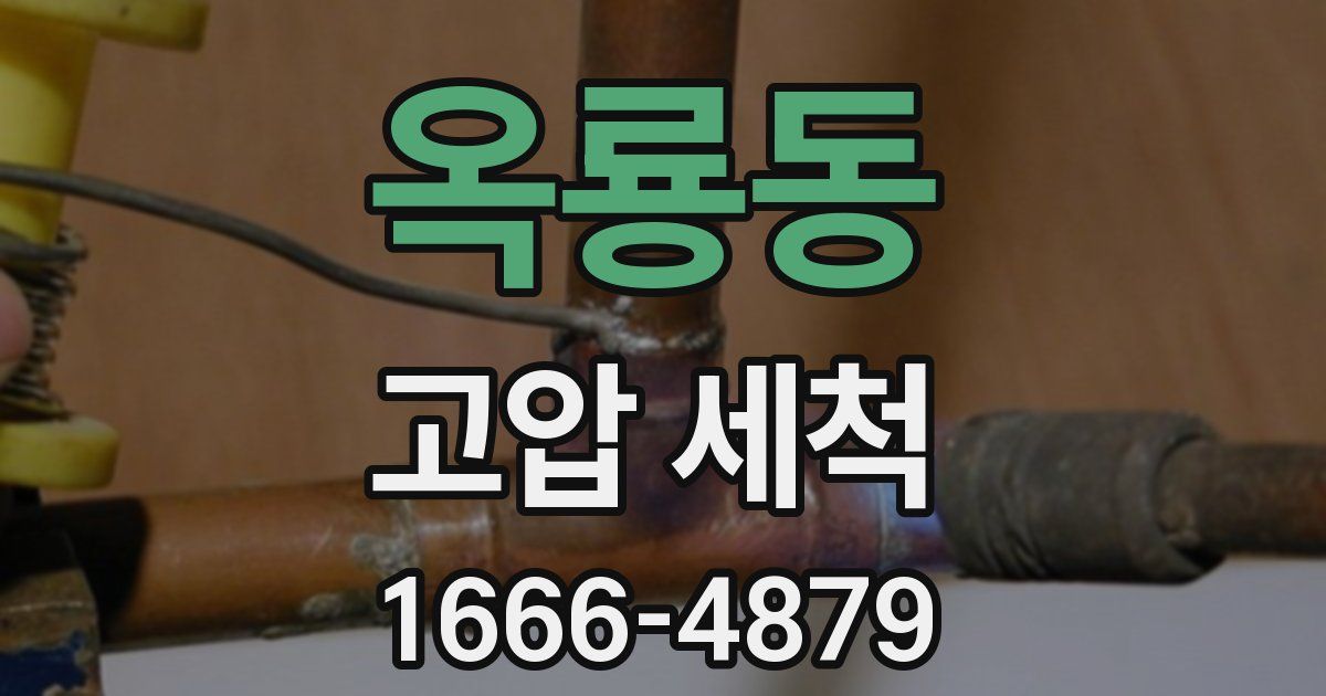 옥룡동 고압 세척