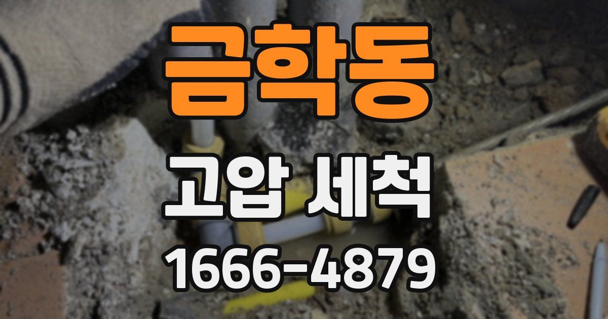 금학동 고압 세척