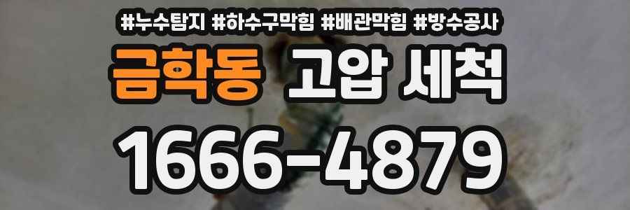 금학동 고압 세척