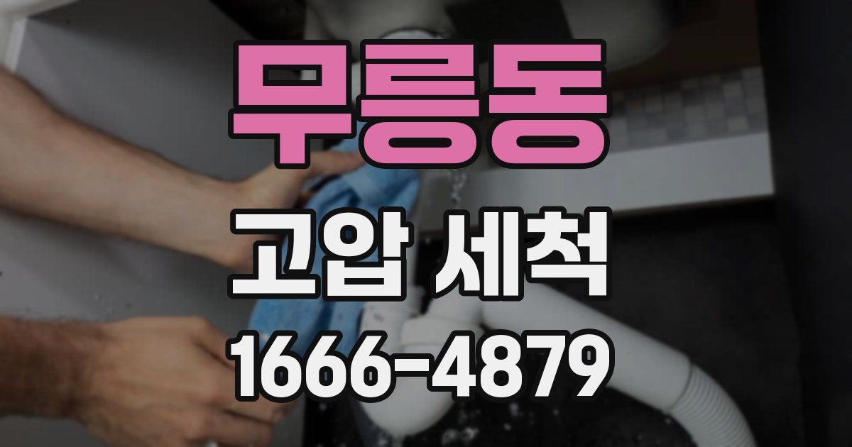 무릉동 고압 세척
