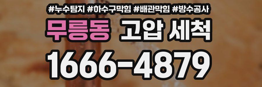 무릉동 고압 세척