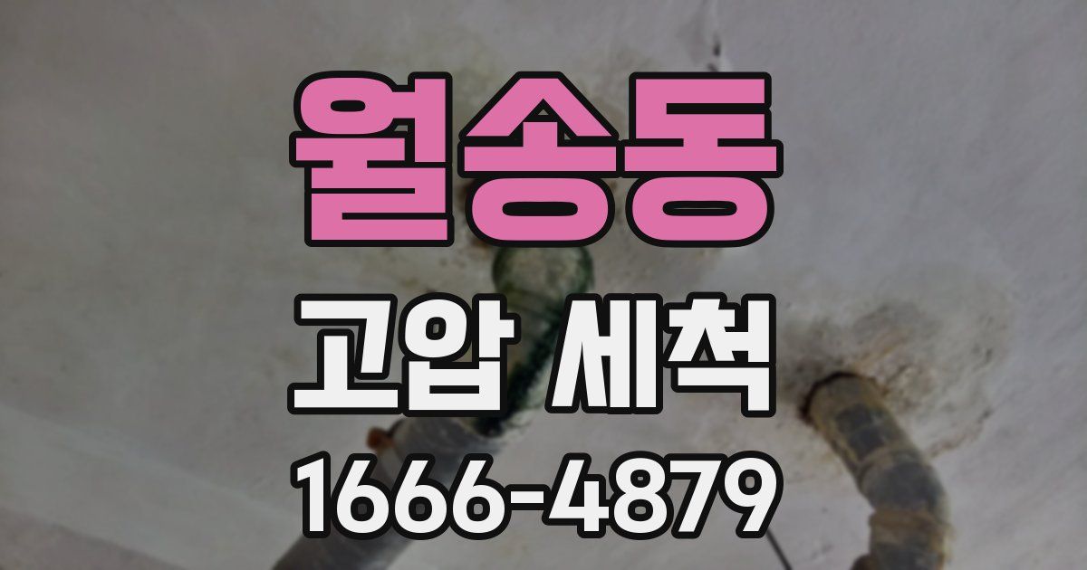 월송동 고압 세척