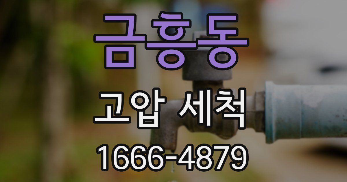 금흥동 고압 세척