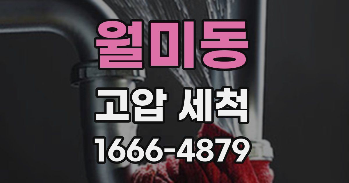 월미동 고압 세척