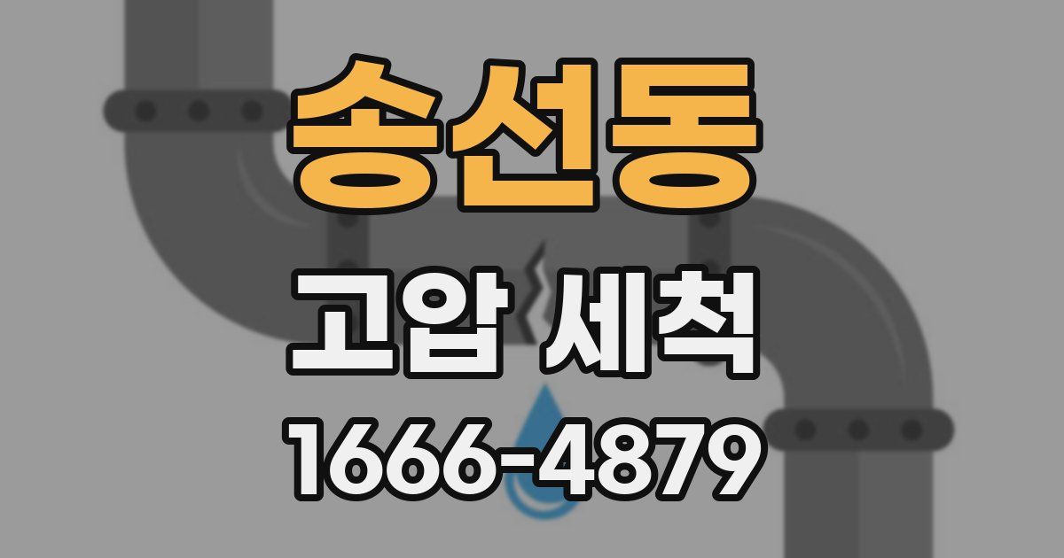 송선동 고압 세척