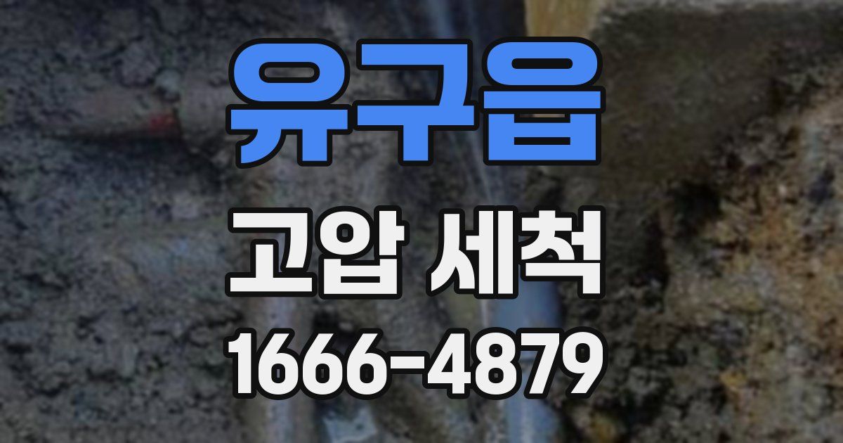 유구읍 고압 세척