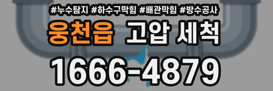 웅천읍 고압 세척