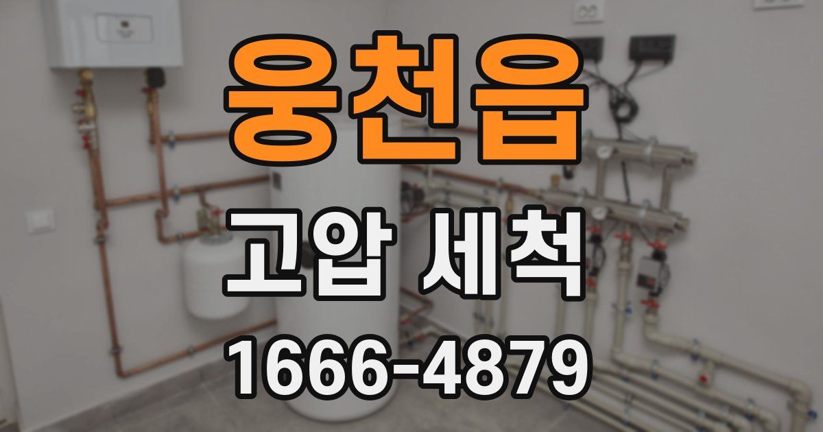 웅천읍 고압 세척