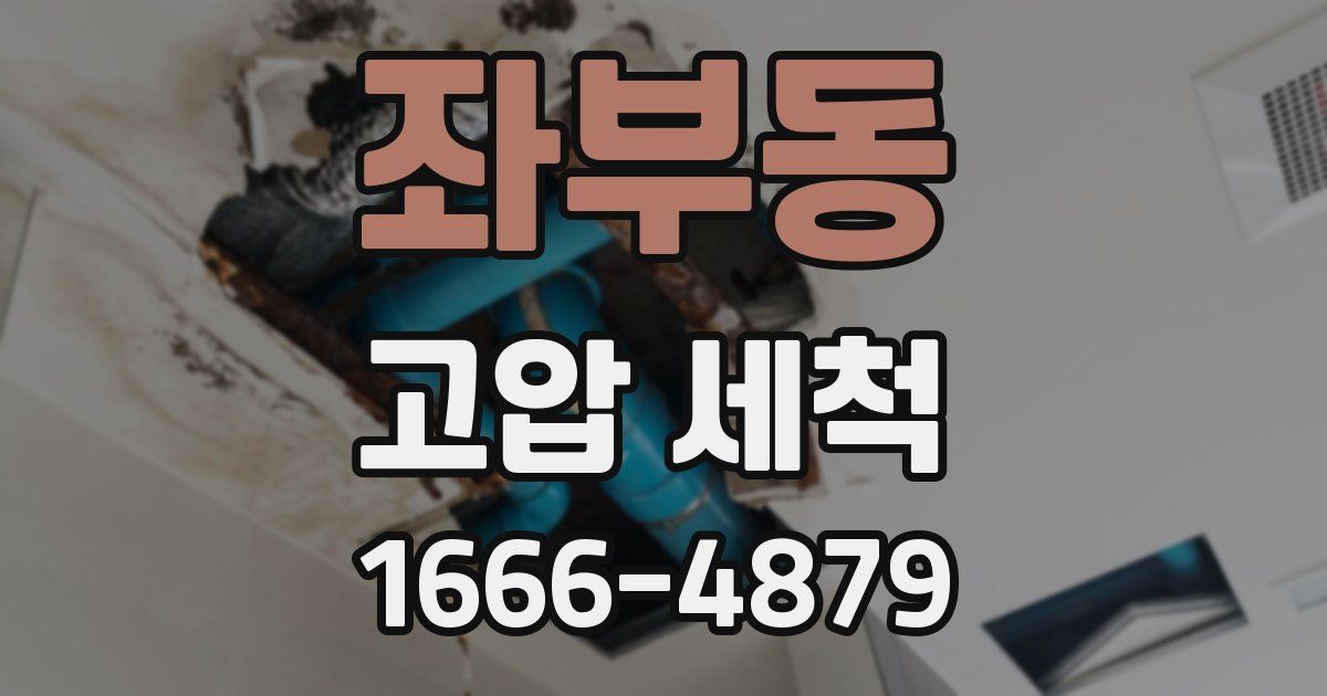 좌부동 고압 세척
