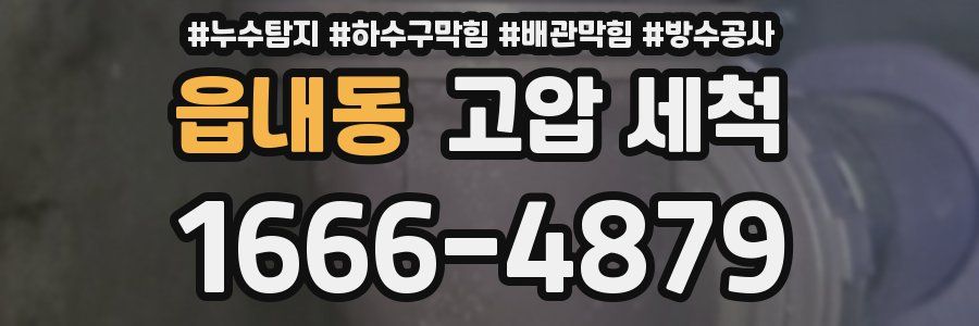 읍내동 고압 세척