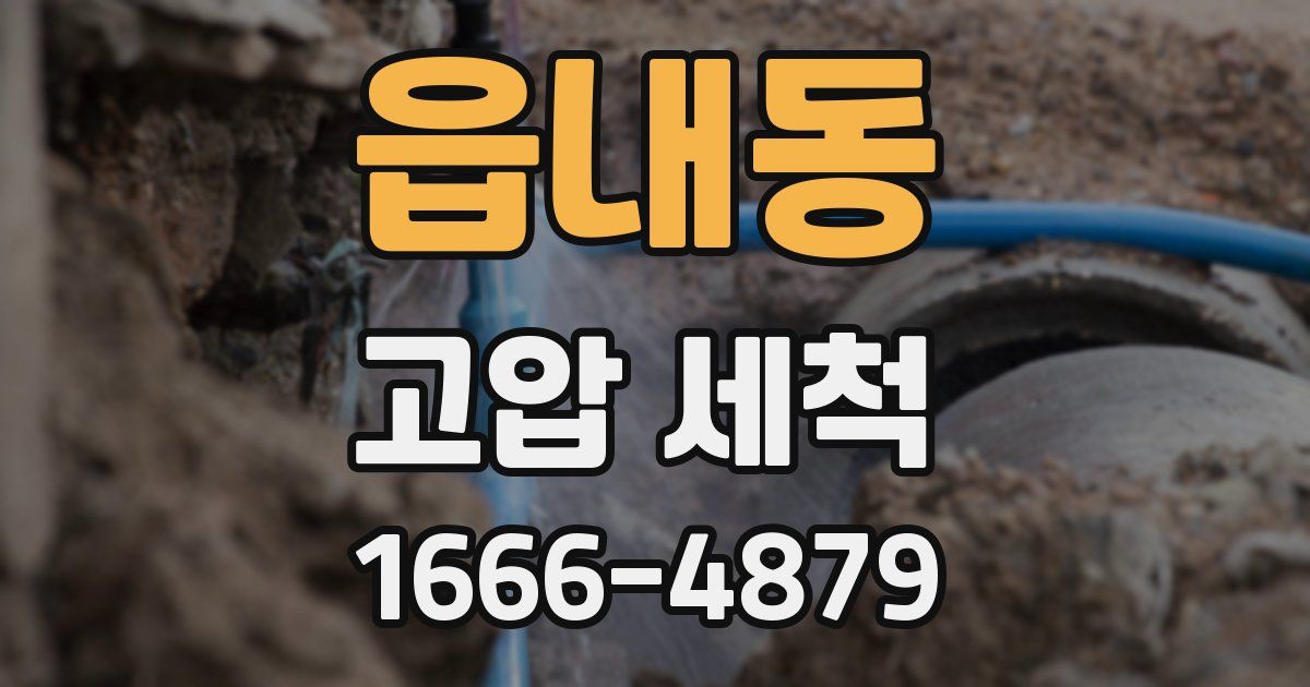 읍내동 고압 세척