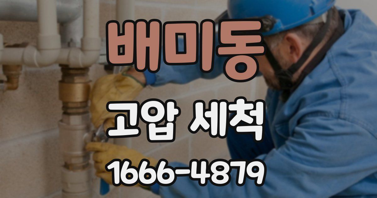 배미동 고압 세척