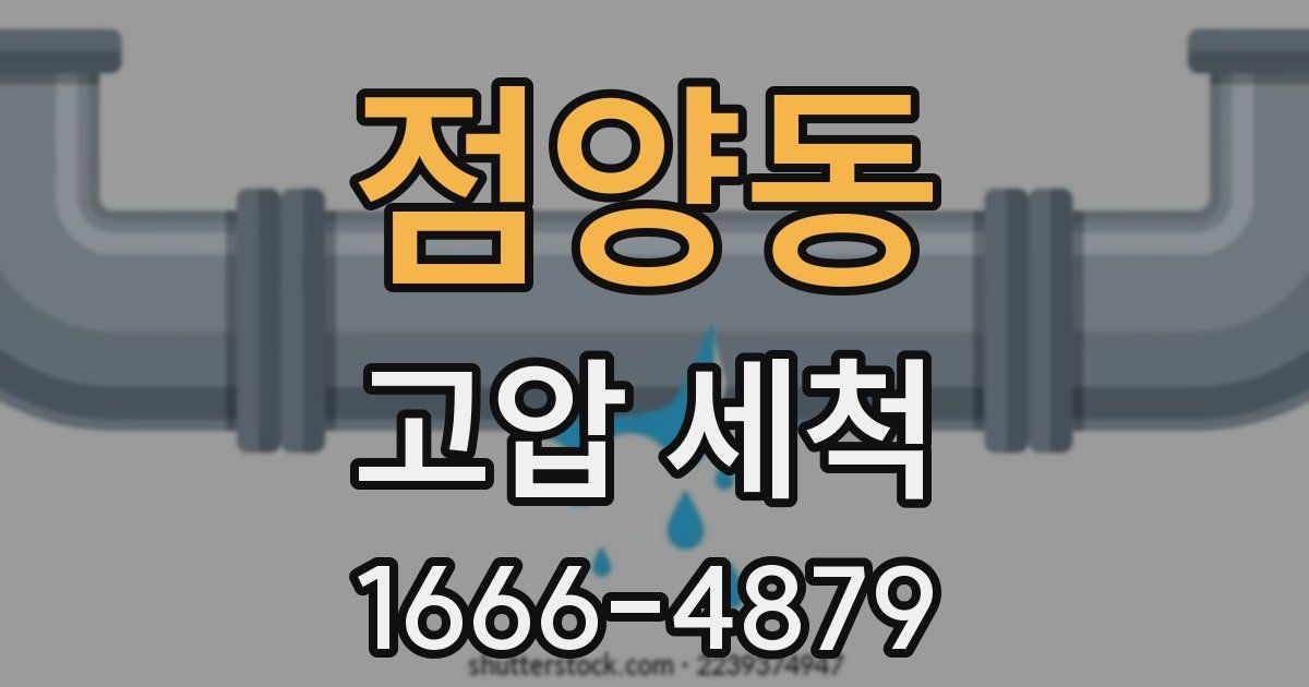 점양동 고압 세척