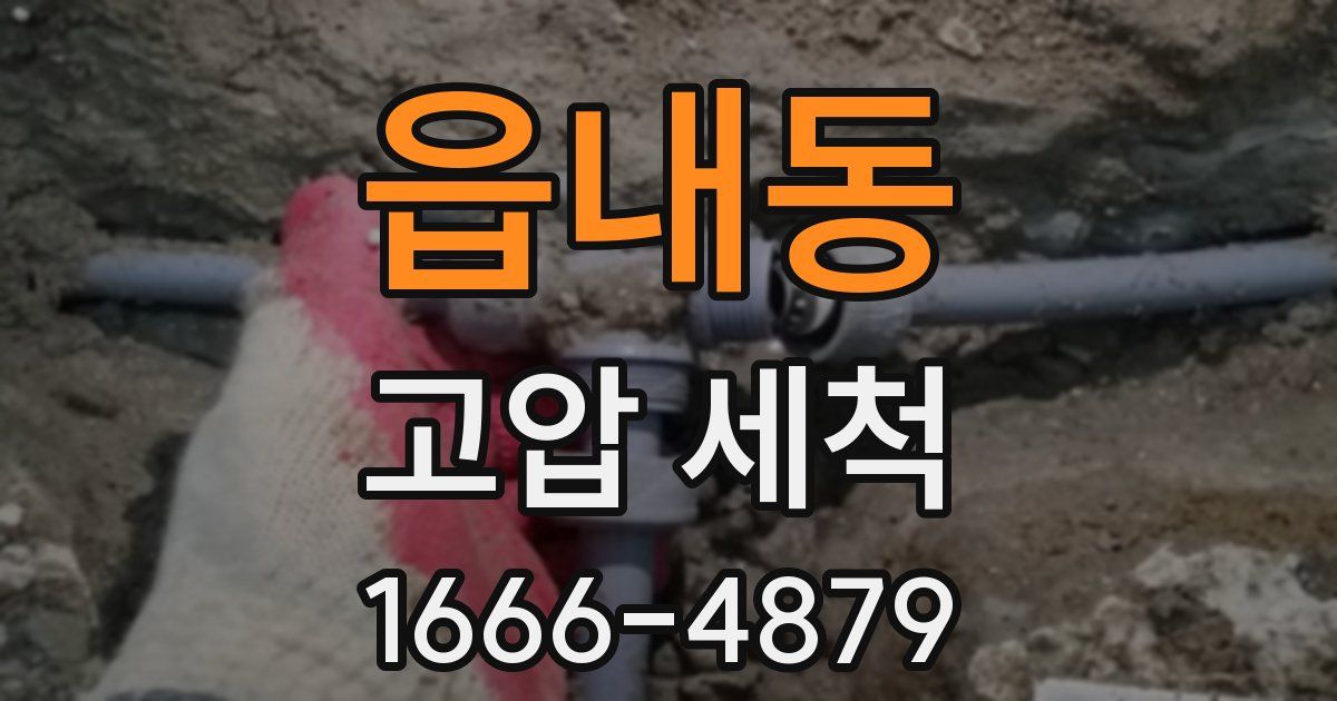 읍내동 고압 세척