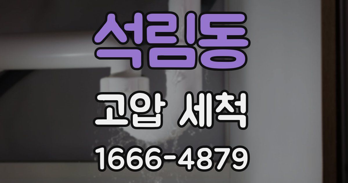 석림동 고압 세척