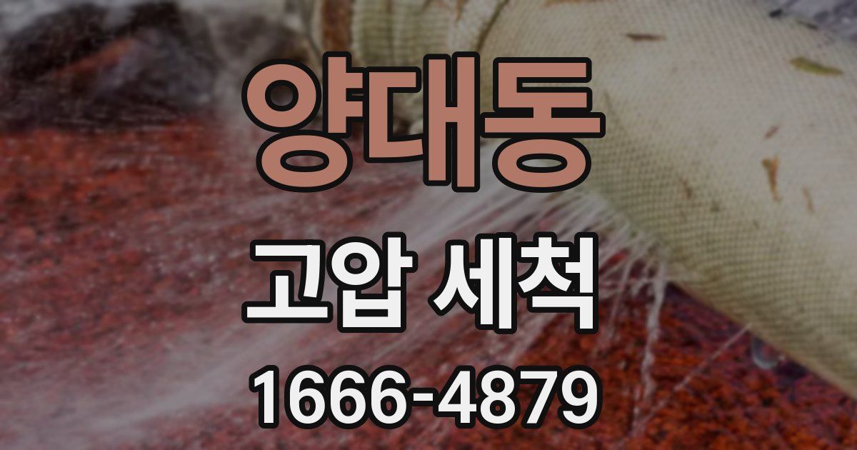 양대동 고압 세척