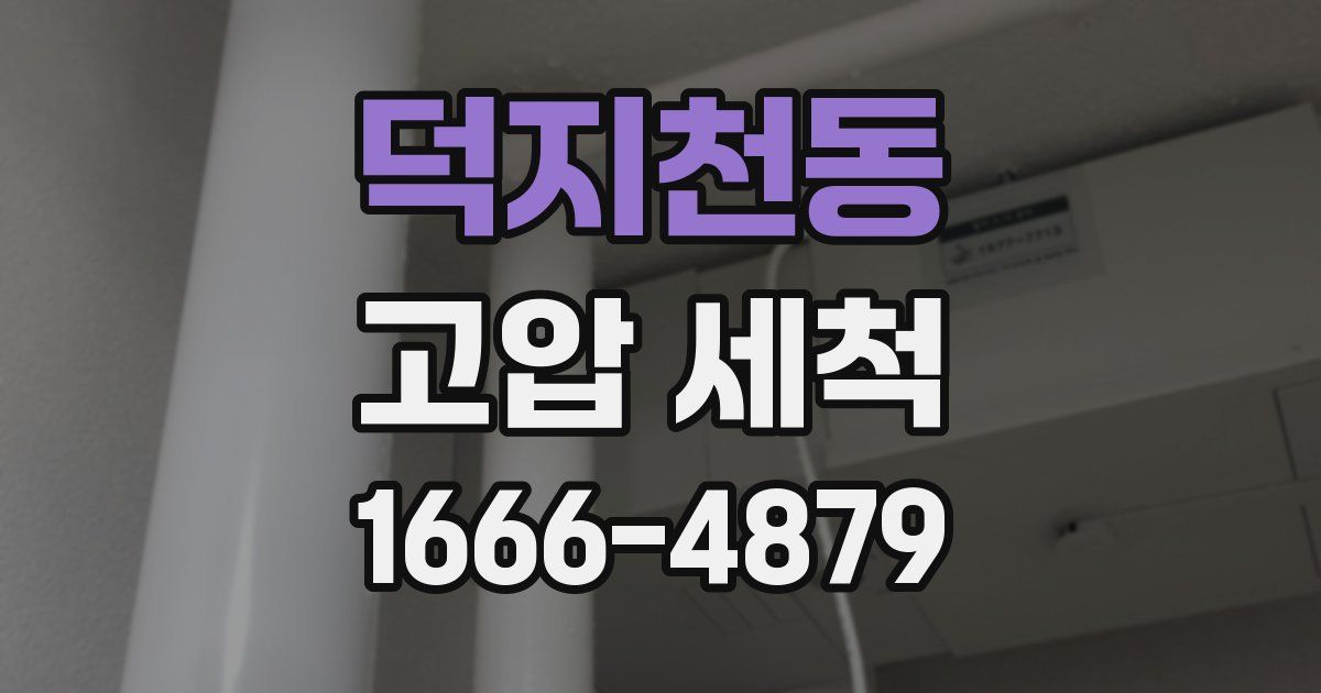 덕지천동 고압 세척