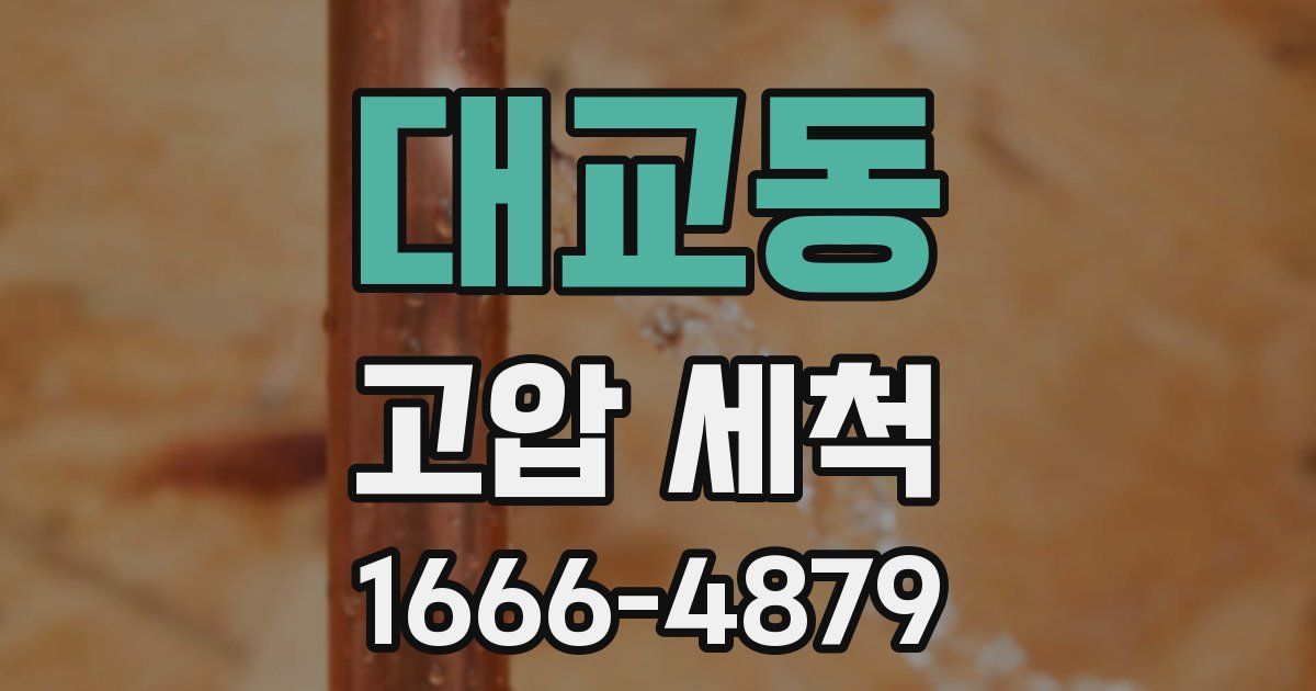 대교동 고압 세척