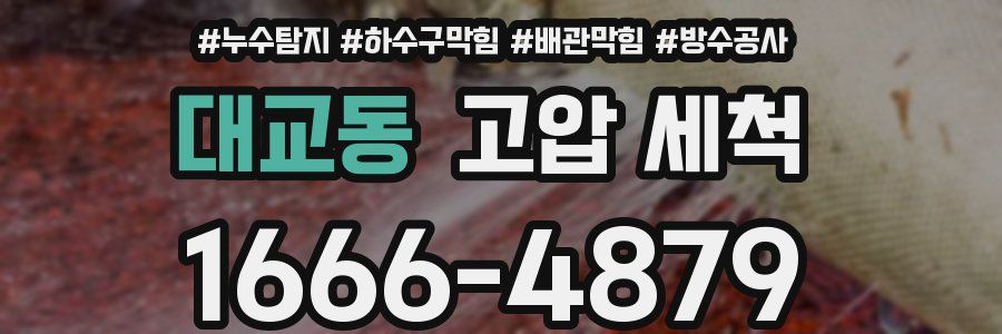 대교동 고압 세척