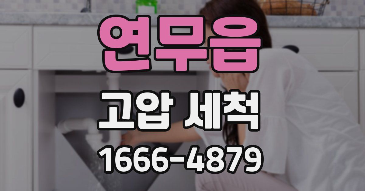 연무읍 고압 세척