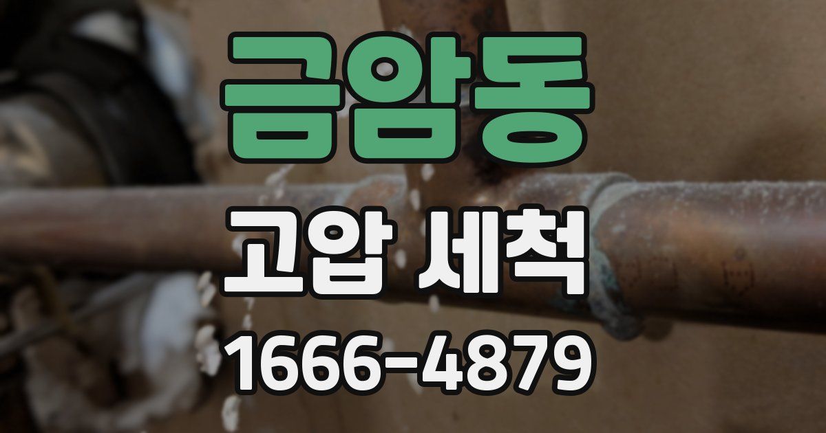 금암동 고압 세척